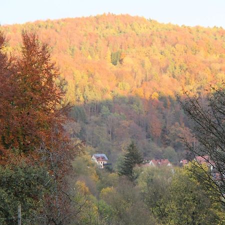 B&B Arlesbrunnen Egloffstein Exteriör bild
