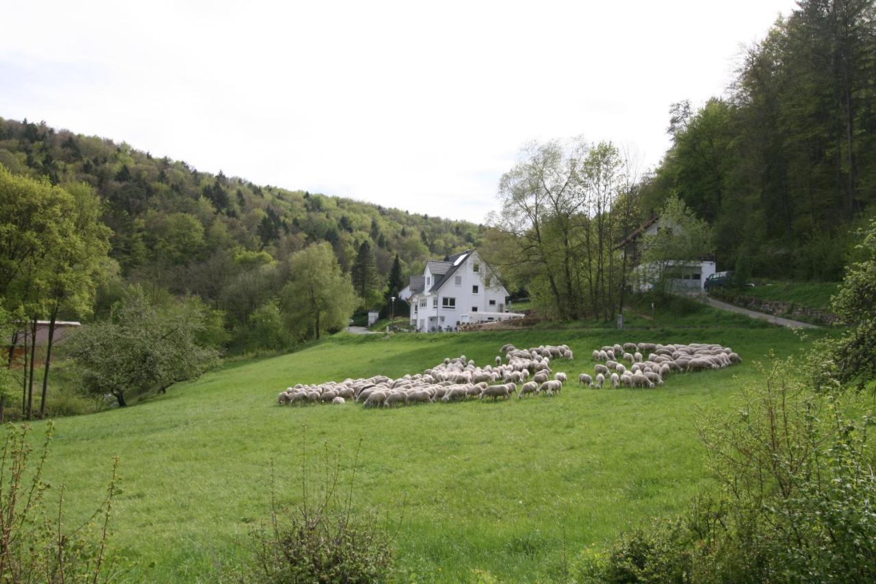 B&B Arlesbrunnen Egloffstein Exteriör bild
