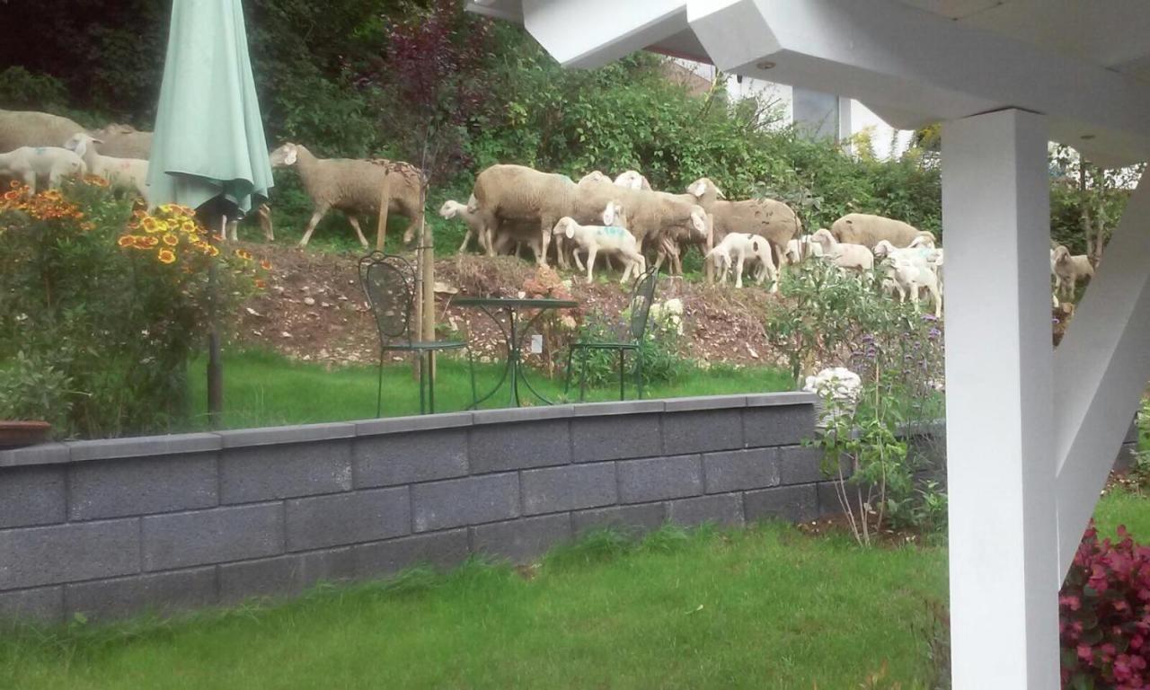 B&B Arlesbrunnen Egloffstein Exteriör bild