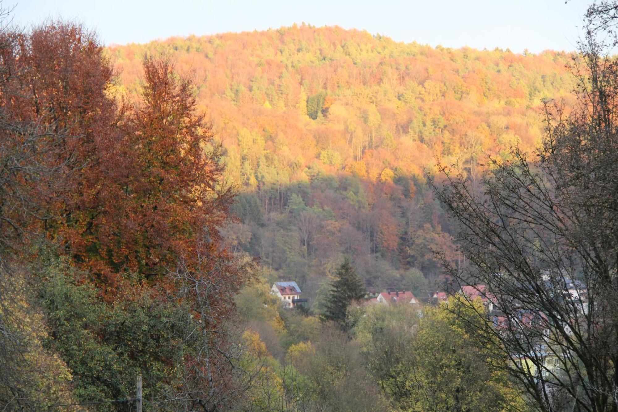 B&B Arlesbrunnen Egloffstein Exteriör bild